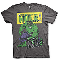 The Hulk tričko, Distressed I Am The Hulk, pánské