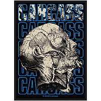 Carcass nášivka PES 100x50 mm, Necro Head