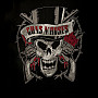 Guns N Roses mikina, Distressed Skull, pánská